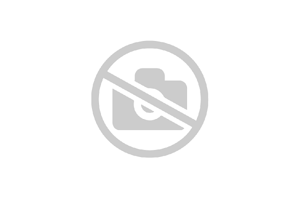 Rodinný dom vhodný aj ako 2 samostatné byty – Domaniža