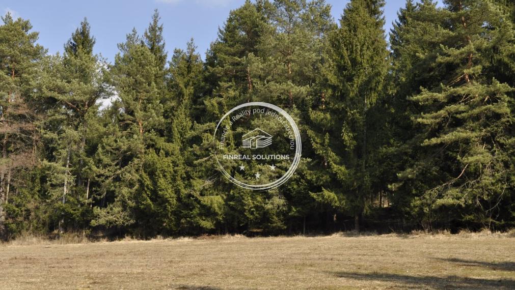 Na predaj lesný pozemok v Považskej Bystrici - Dolný Moštenec
