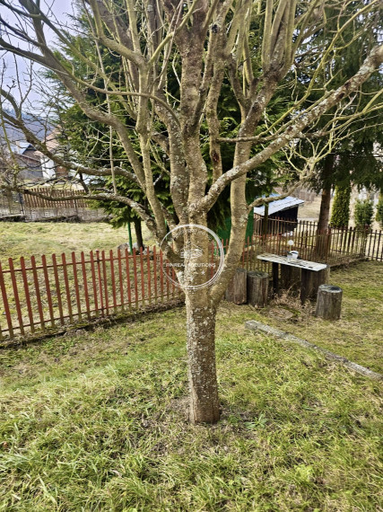 Na predaj rodinný dom v obci Udiča časť Uhry