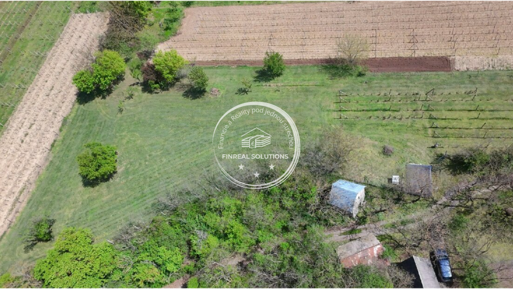 Krásna vinica a ovocný sad v Hrkovciach