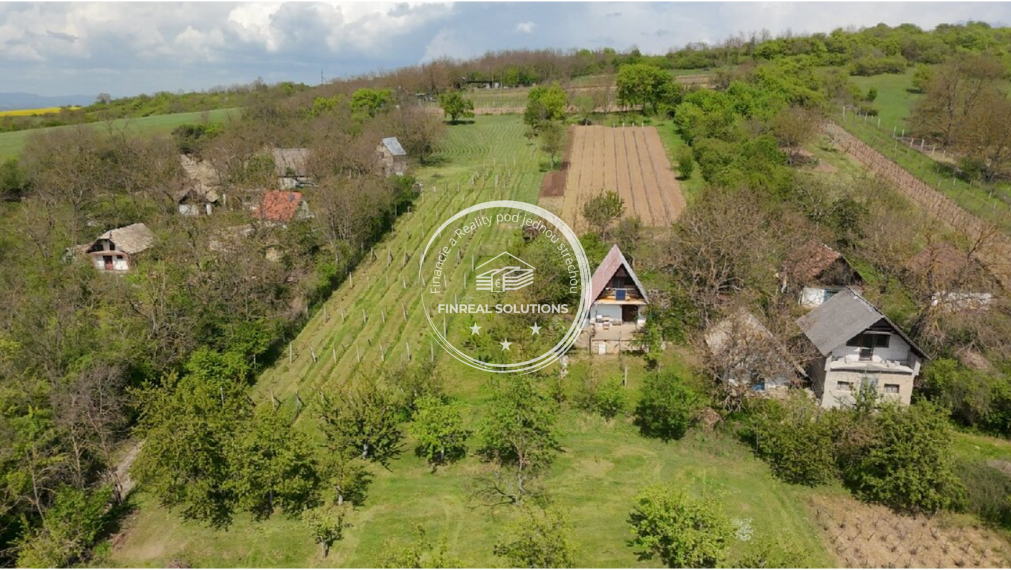 Krásna vinica a ovocný sad v Hrkovciach