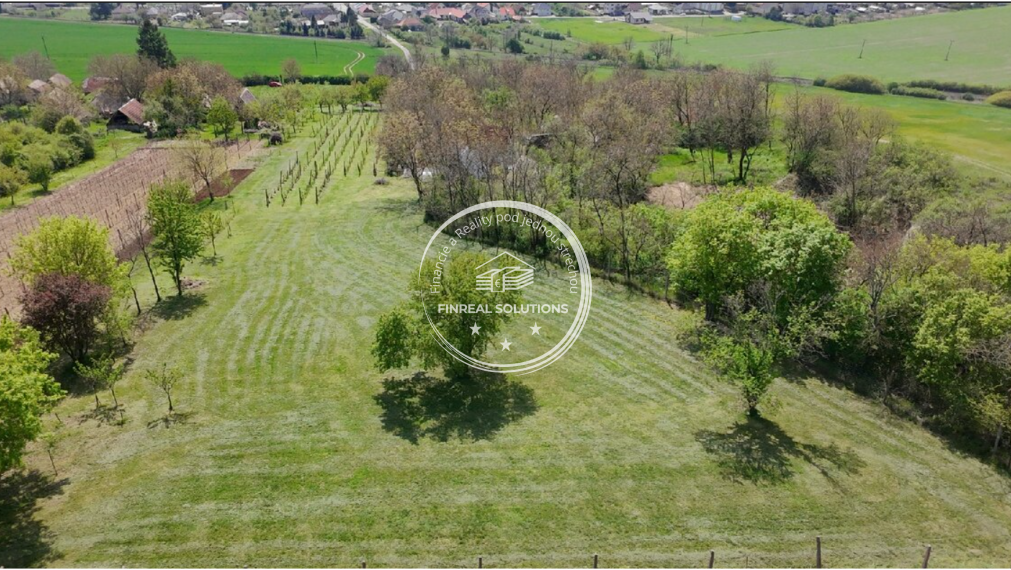 Krásna vinica a ovocný sad v Hrkovciach