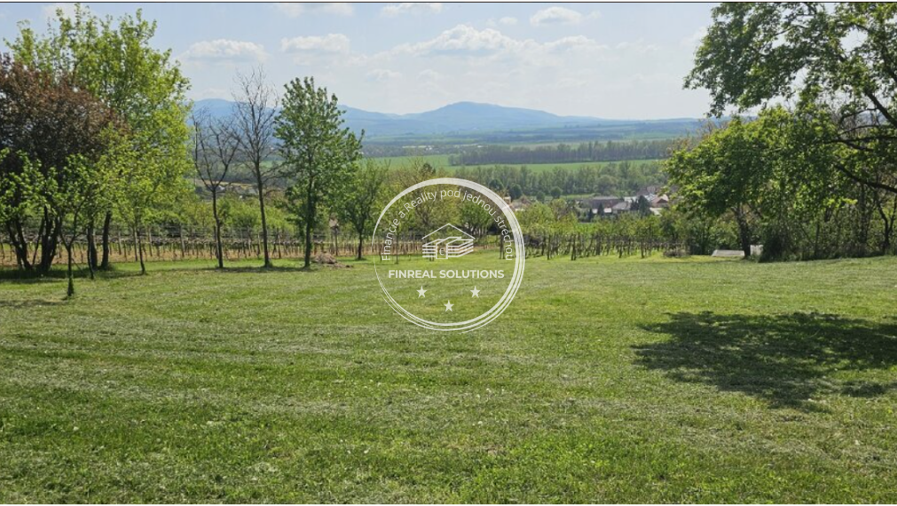 Krásna vinica a ovocný sad v Hrkovciach