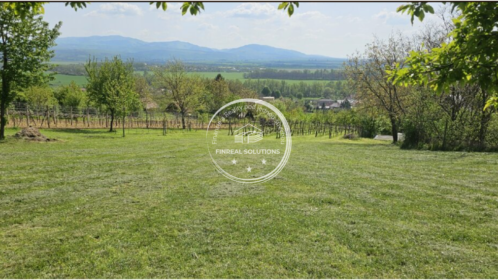 Krásna vinica a ovocný sad v Hrkovciach