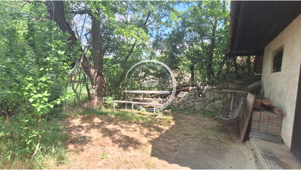 Krásna vinica a ovocný sad v Hrkovciach