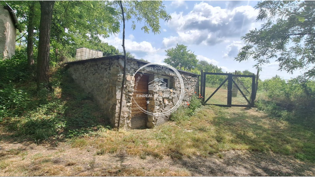 Krásna vinica a ovocný sad v Hrkovciach