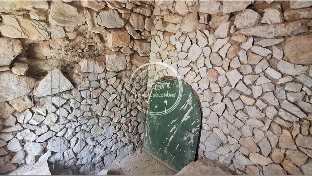 Krásna vinica a ovocný sad v Hrkovciach