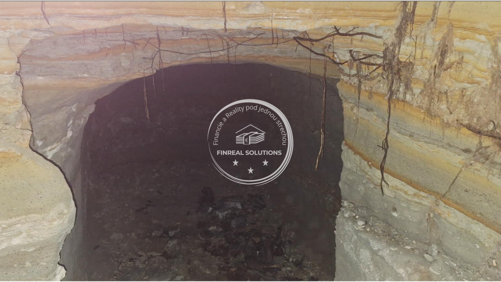 Krásna vinica a ovocný sad v Hrkovciach