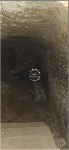 Krásna vinica a ovocný sad v Hrkovciach