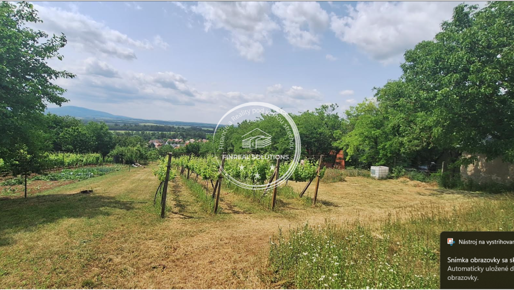 Krásna vinica a ovocný sad v Hrkovciach