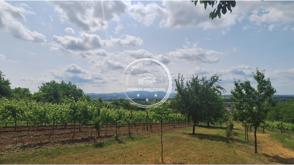 Krásna vinica a ovocný sad v Hrkovciach