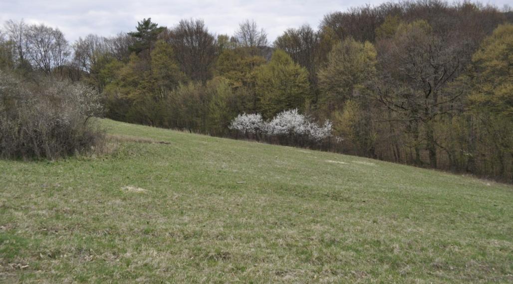 Na predaj krásny slnečný pozemok v Hornom Srní