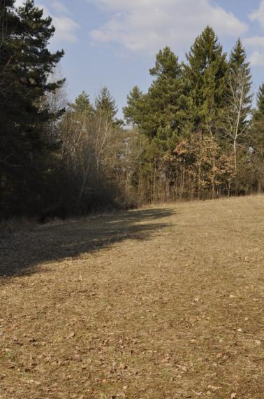 Na predaj lesný pozemok v Považskej Bystrici - Dolný Moštenec