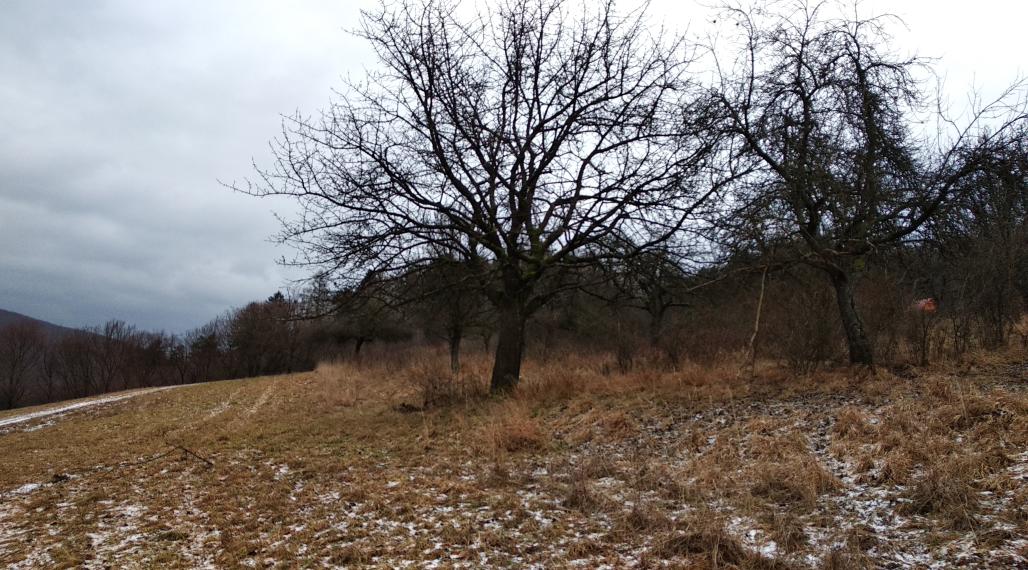 Na predaj krásny slnečný pozemok v Hornom Srní pri zjazdovke