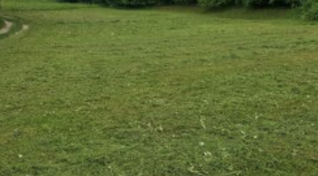 Na predaj pozemok v obci Modrová