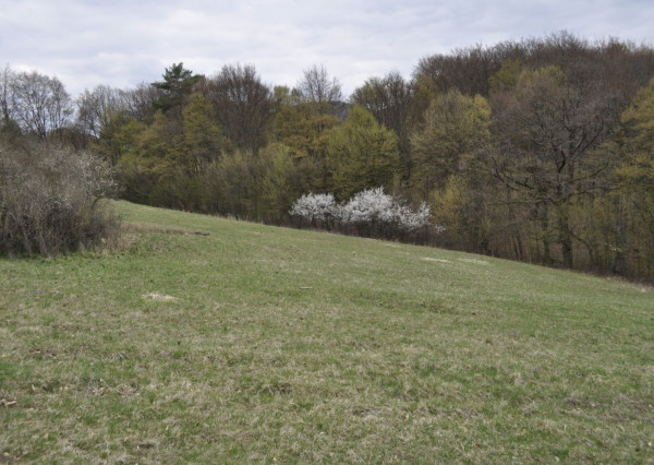 Na predaj krásny slnečný pozemok v Hornom Srní
