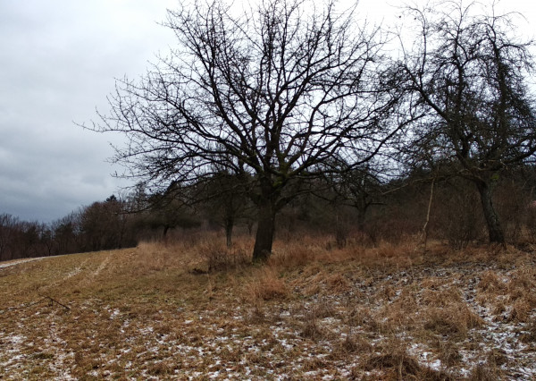 Na predaj krásny slnečný pozemok v Hornom Srní pri zjazdovke