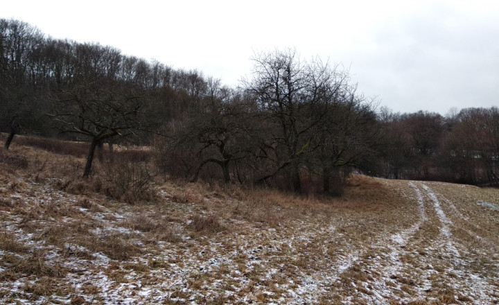 Na predaj krásny slnečný pozemok v Hornom Srní pri zjazdovke - fotografia 1