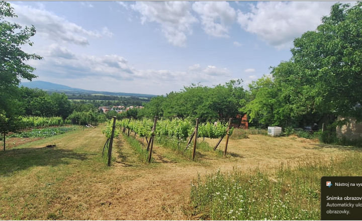 Krásna vinica a ovocný sad v Hrkovciach - fotografia 12